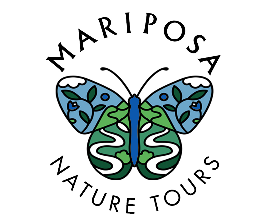 Mariposa Nature Tours takes flight! Mariposa Nature Tours